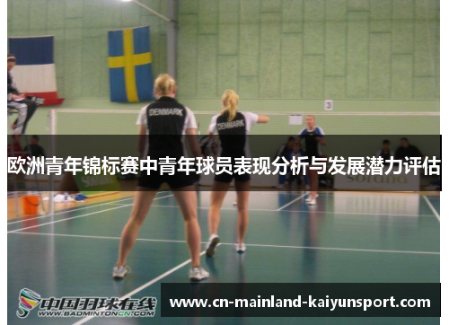 欧洲青年锦标赛中青年球员表现分析与发展潜力评估 欧洲青年锦标赛中青年球员表现分析与发展潜力评估