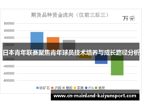 日本青年联赛聚焦青年球员技术培养与成长路径分析 日本青年联赛聚焦青年球员技术培养与成长路径分析