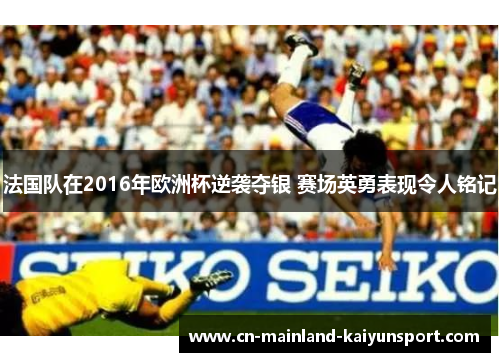 法国队在2016年欧洲杯逆袭夺银 赛场英勇表现令人铭记