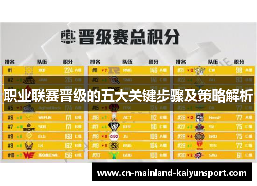 职业联赛晋级的五大关键步骤及策略解析 职业联赛晋级的五大关键步骤及策略解析